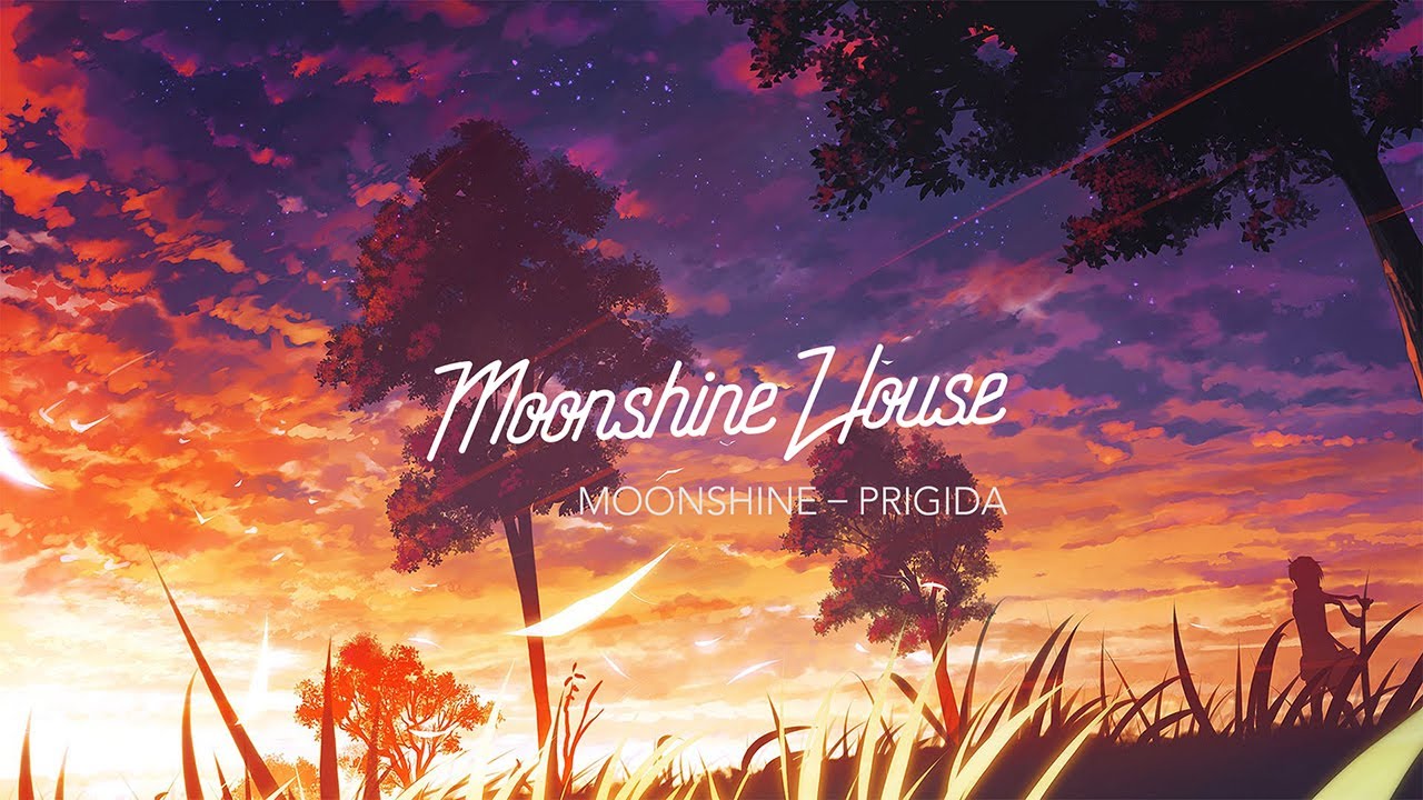 Chill LoFi hip hop | Moonshine by Prigida (home working or study music)
