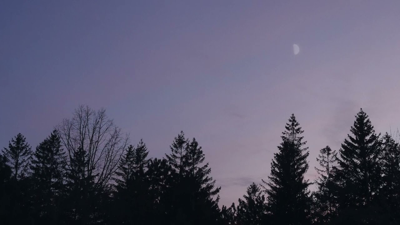 frank ocean type instrumental 