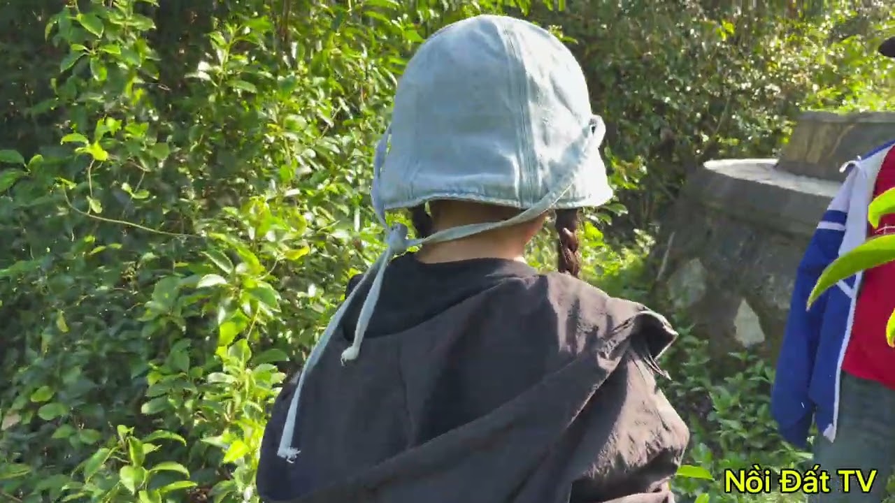 Đi hái rau bò xít và cái kết là tràng pháo cười