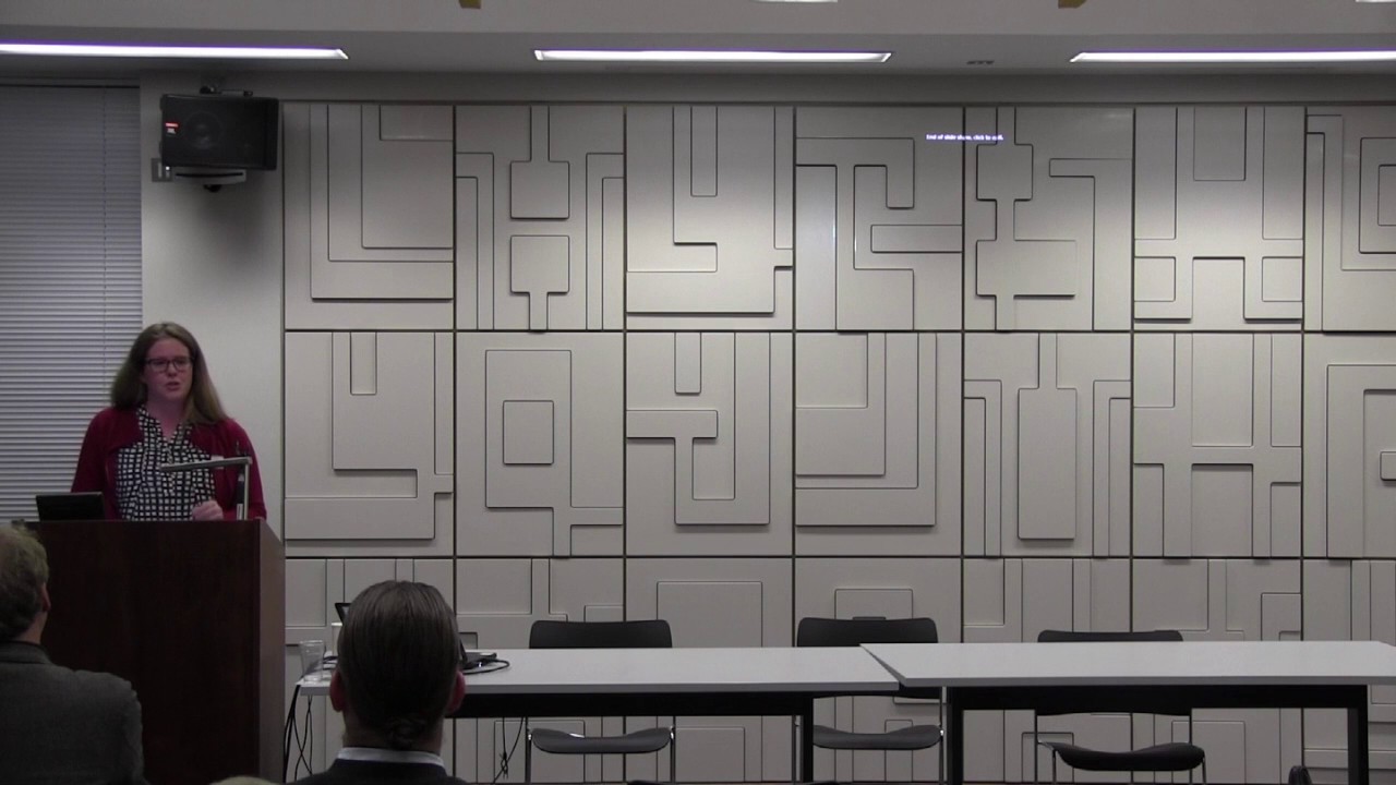 Pieter Geyl and his entanglement in German Westforschung