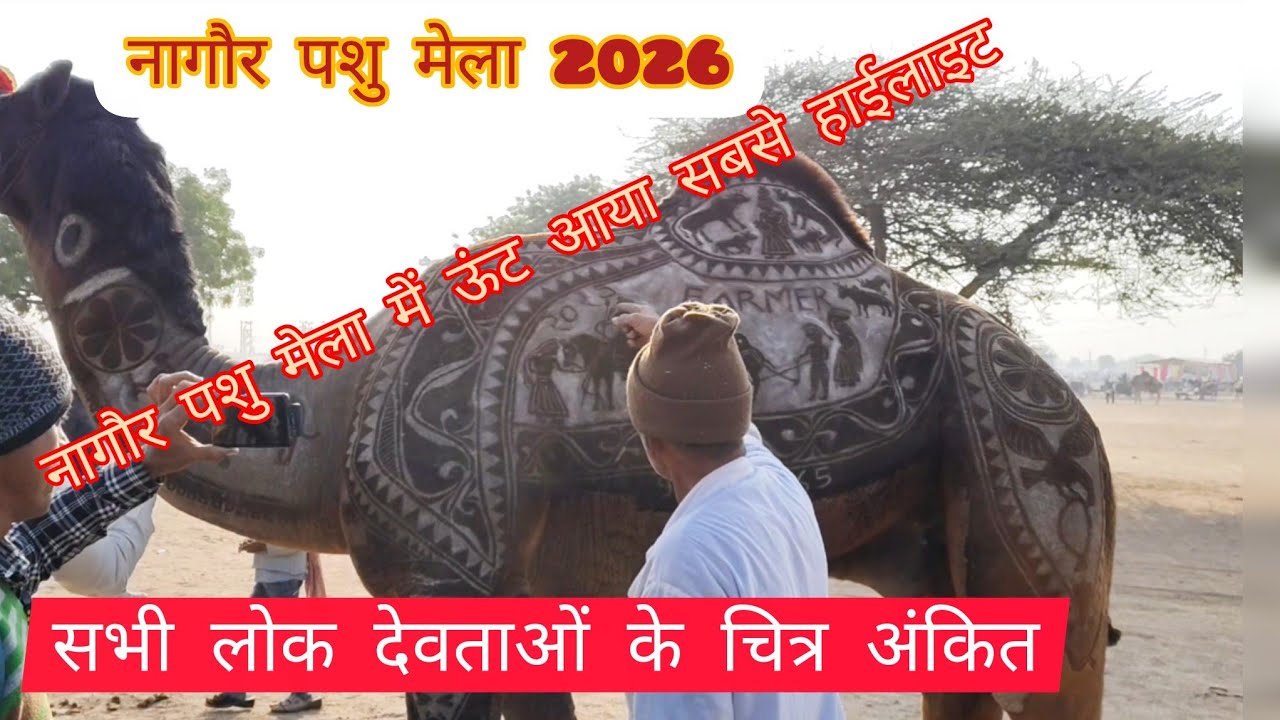 नागौर मेला 2026 || Nagaur pashu mela 2026 | Nagaur Mela 2026 | बाबा रामदेव पशु मेला नागौर 2026 #mela