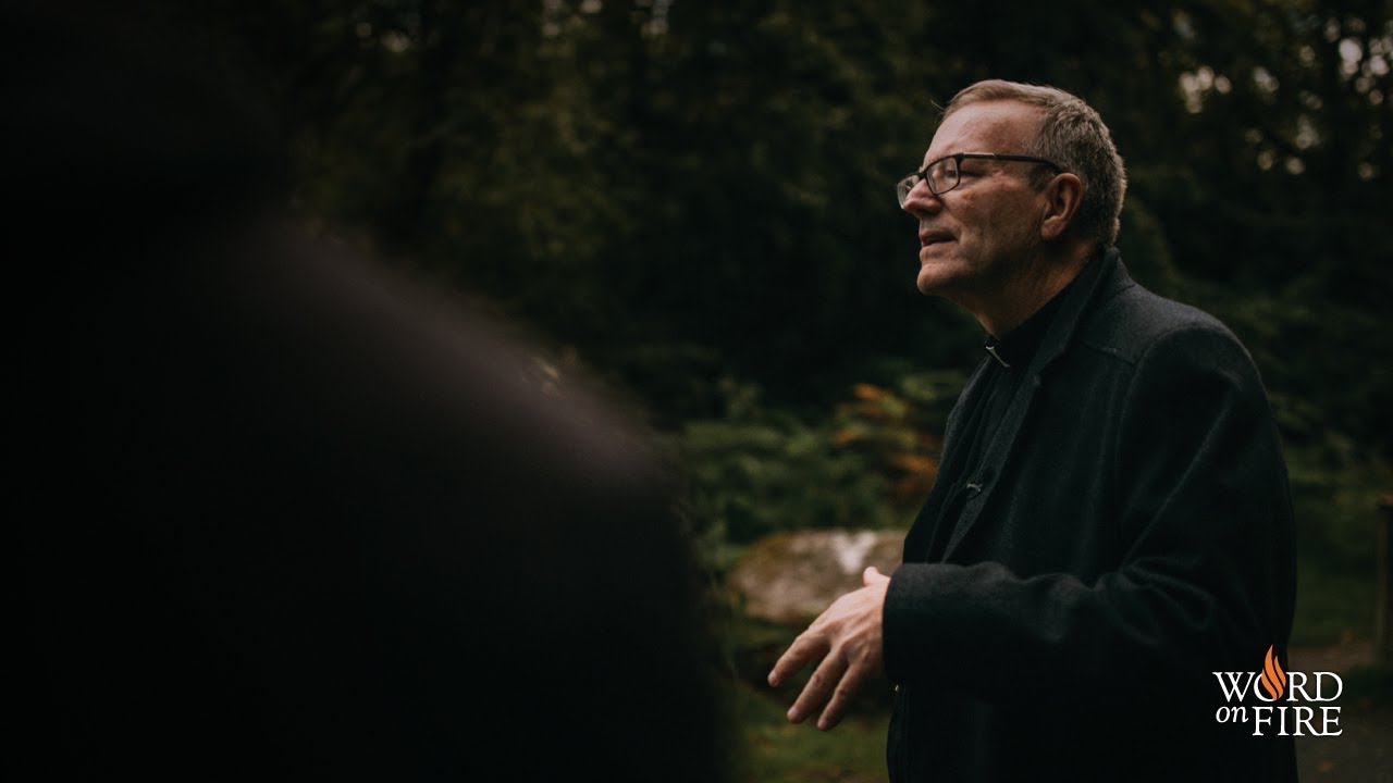 Bishop Barron Q&A about the Sexual Abuse Crisis