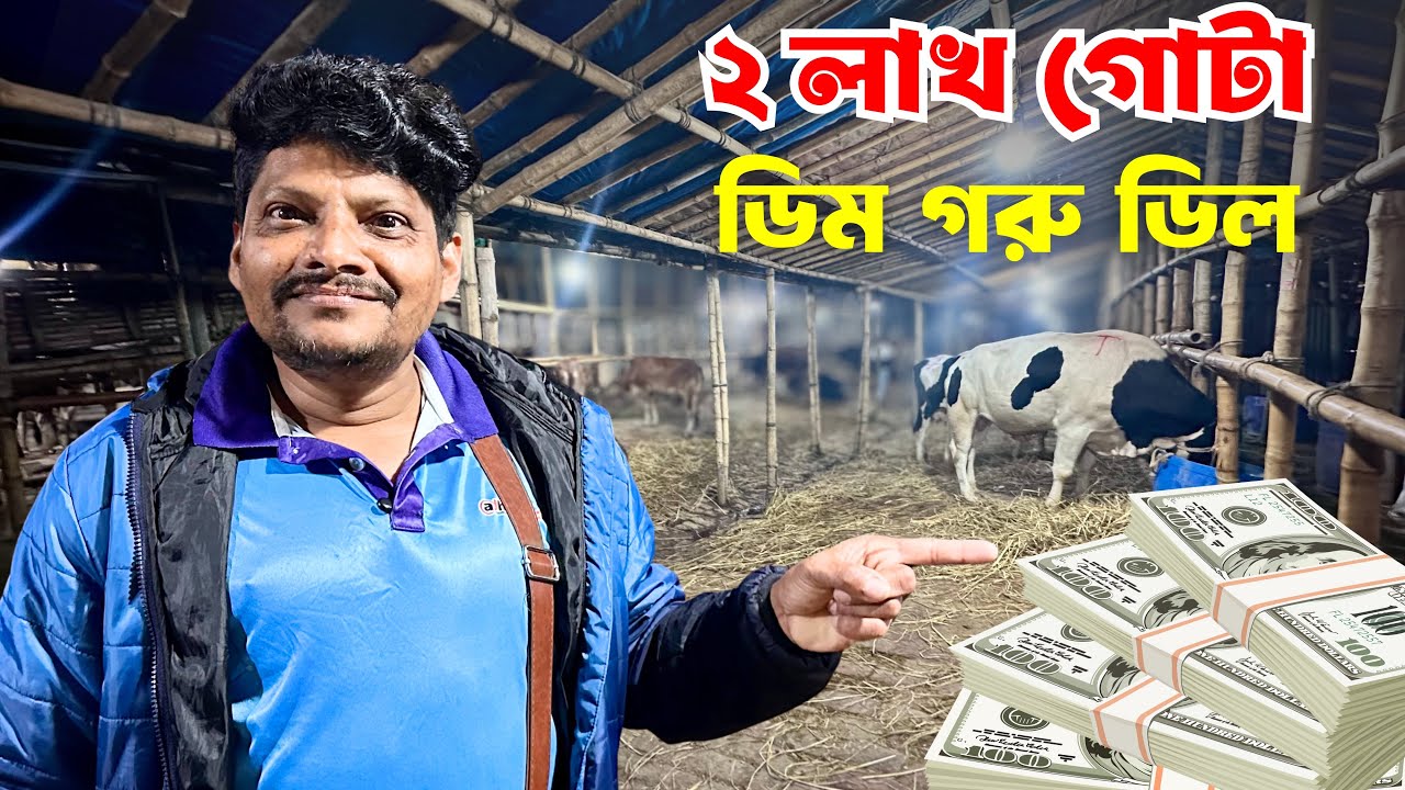 গাবতলী হাটে প্রায় ২ লক্ষ টাকায় গোটা 🐂 কিনলেন আকরাম ভাই! | Gabtoli Haat Cow Buying 2026