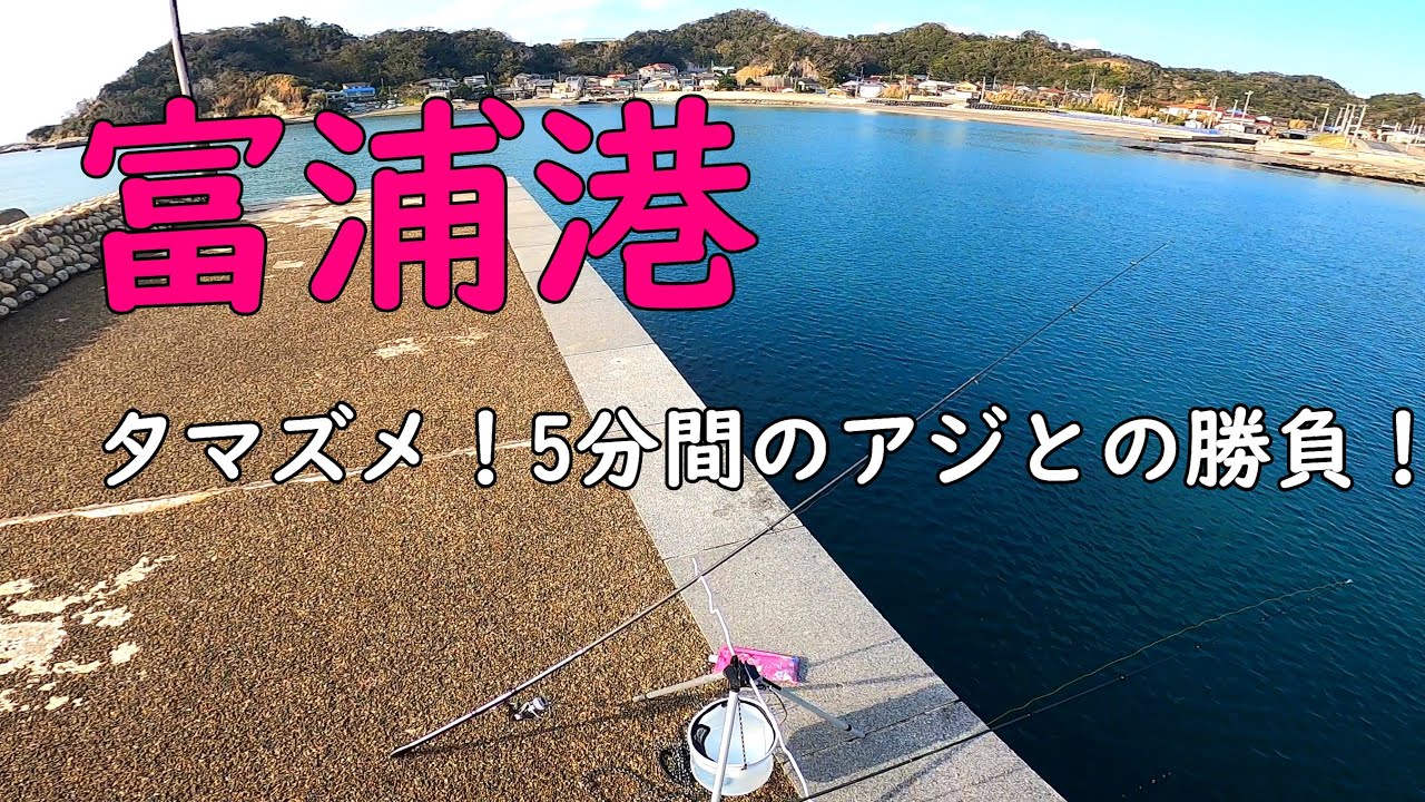 【富浦港】アジの時合は一瞬で！【海釣り】