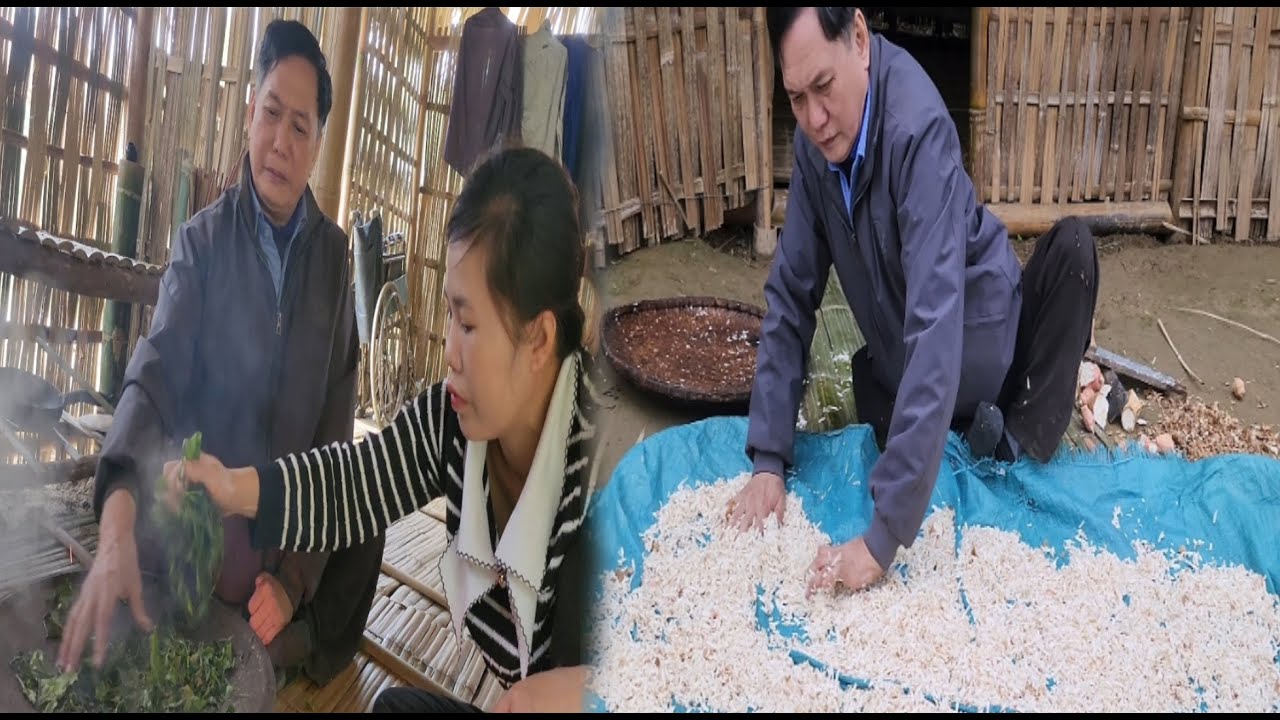 Harvest vegetables goes to the market sell - Grated cassava - Pick tea for my disabled father