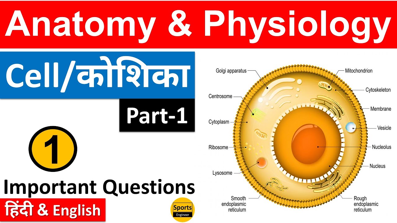 Cell (कोशिका)-1 ||Anatomy & Physiology|| {Part-1} Physical Education MCQs