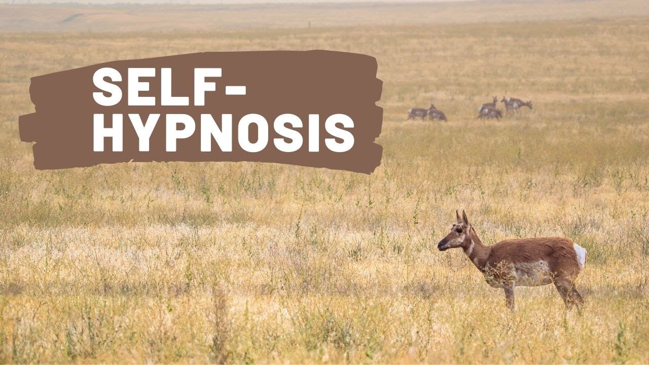 Country Relaxing music - Cloven-Hoofed animals of the World - Self-Hypnosis