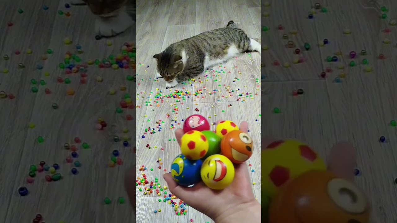 Funny Cats ❤ Beads Balls 🔴🔔 Reverse video