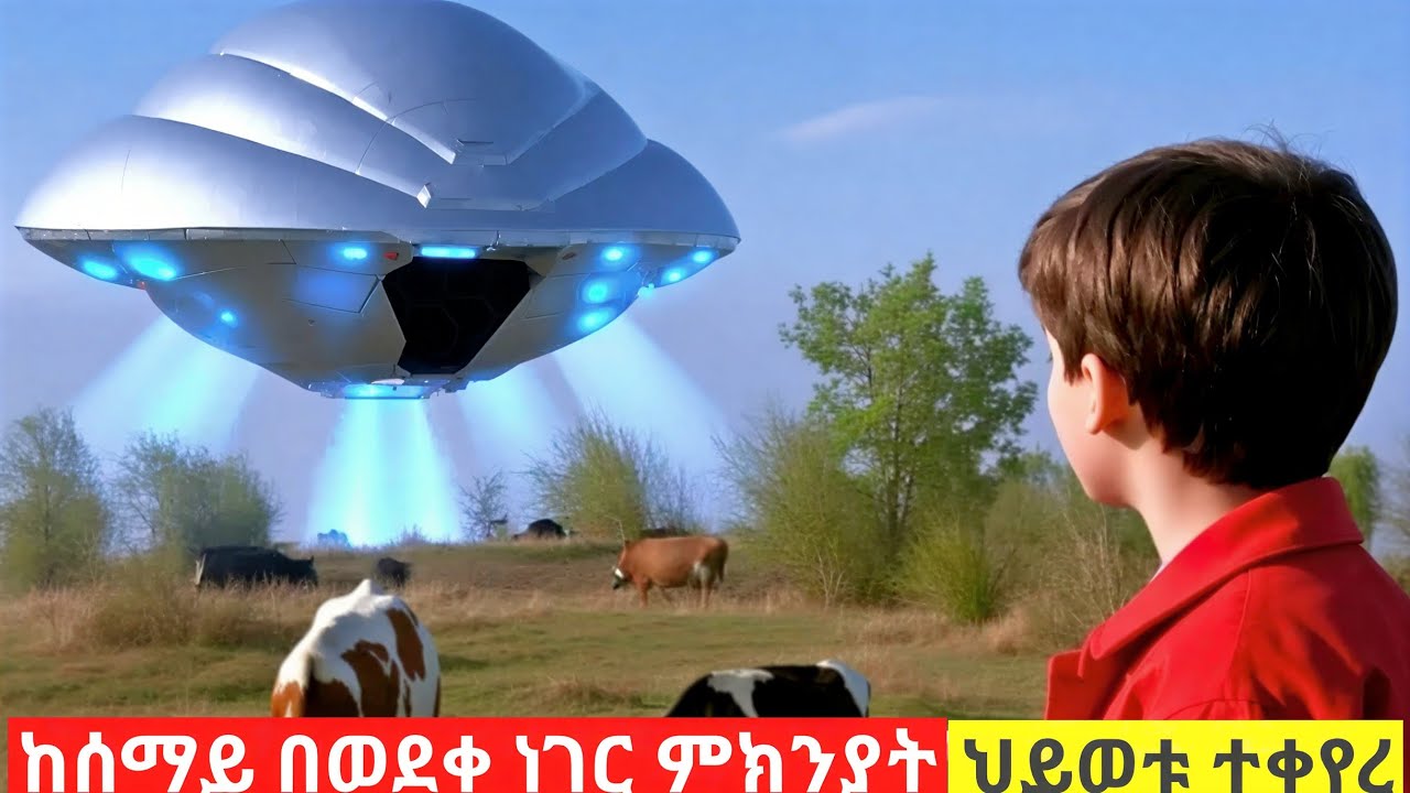 የኤሊየን ማጓጓዣ  አግኝቶ ህይወቱ ተቀየረ,Filmegnaw,Filmegna,