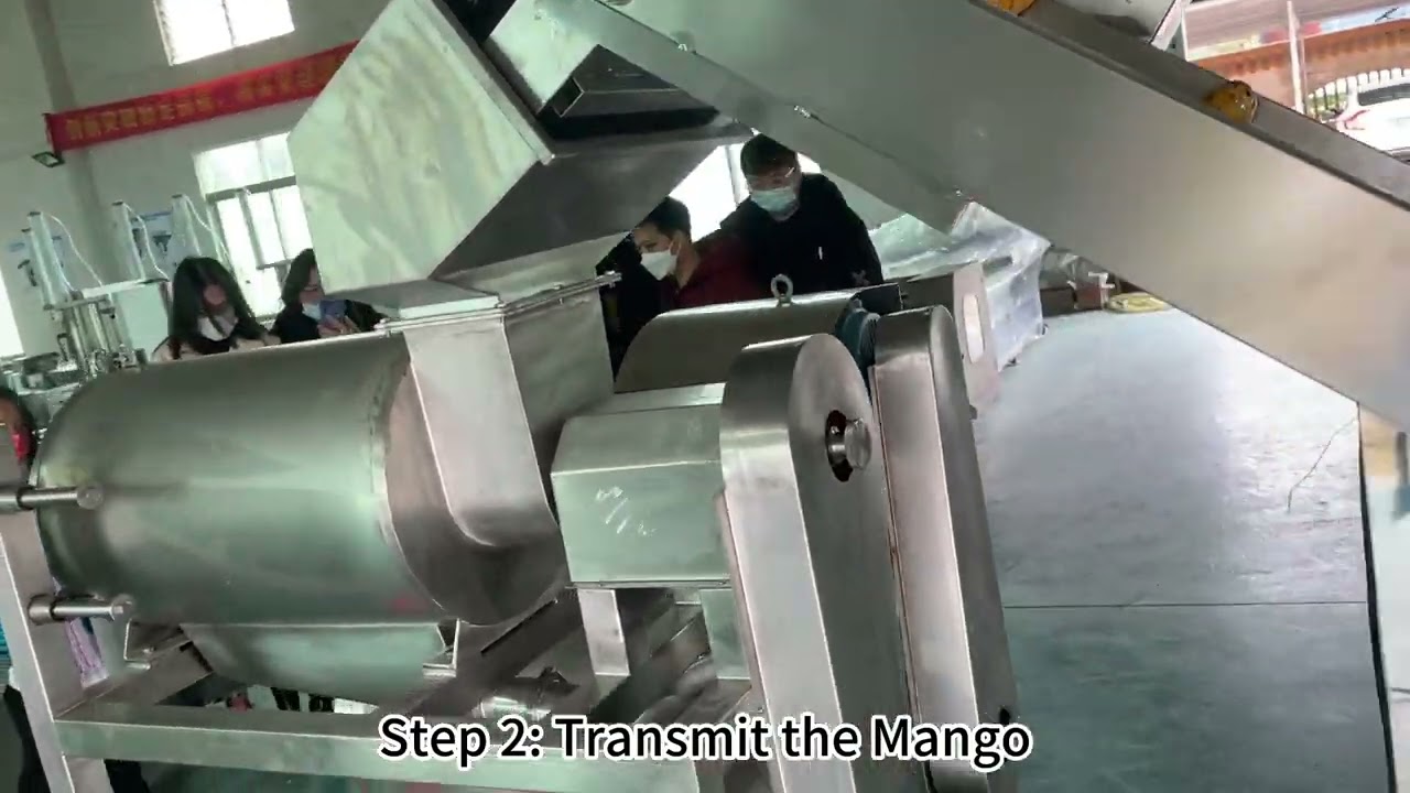 Mango processing line fruit washing and juicing machine
