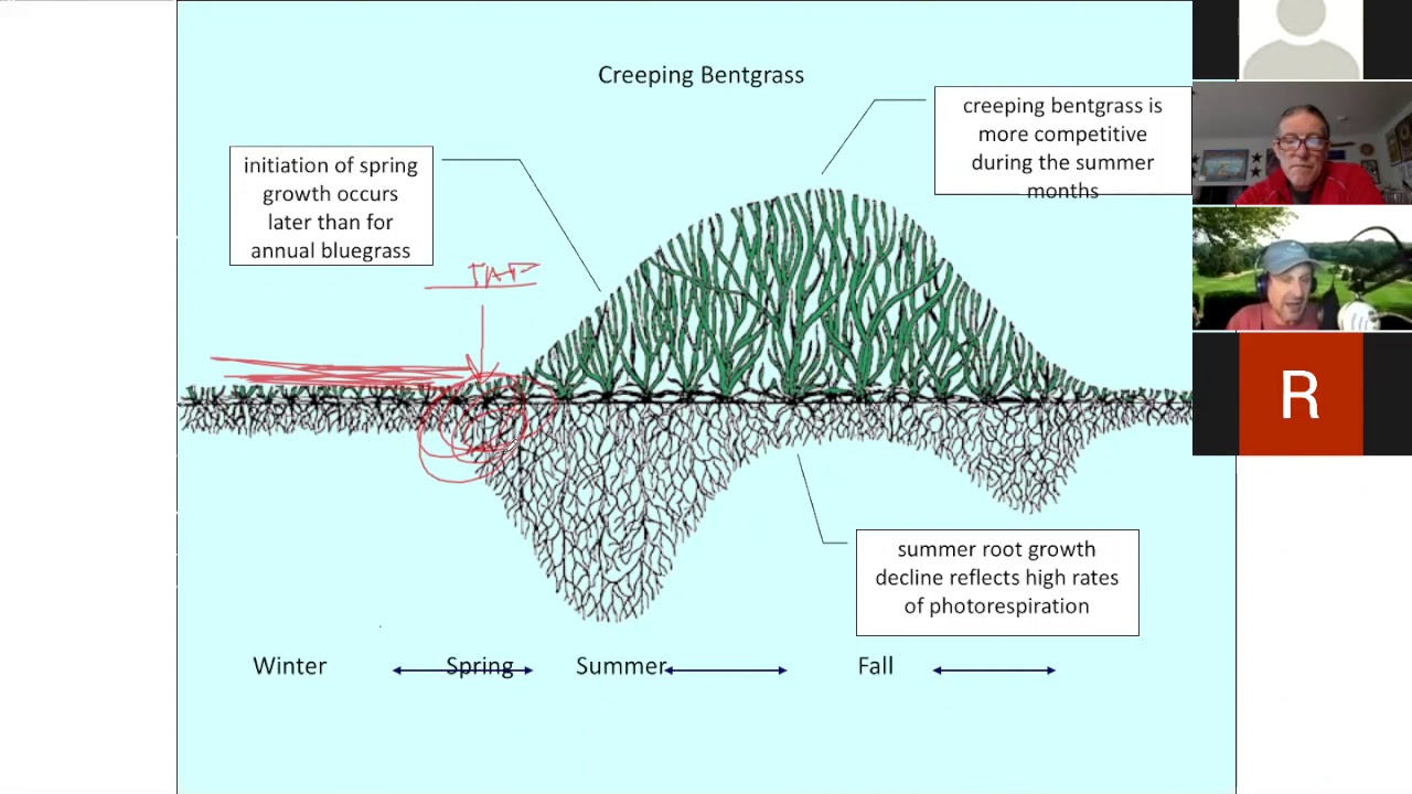 Golf Turf Webinar 3: Rich Buckley discusses turf diseases