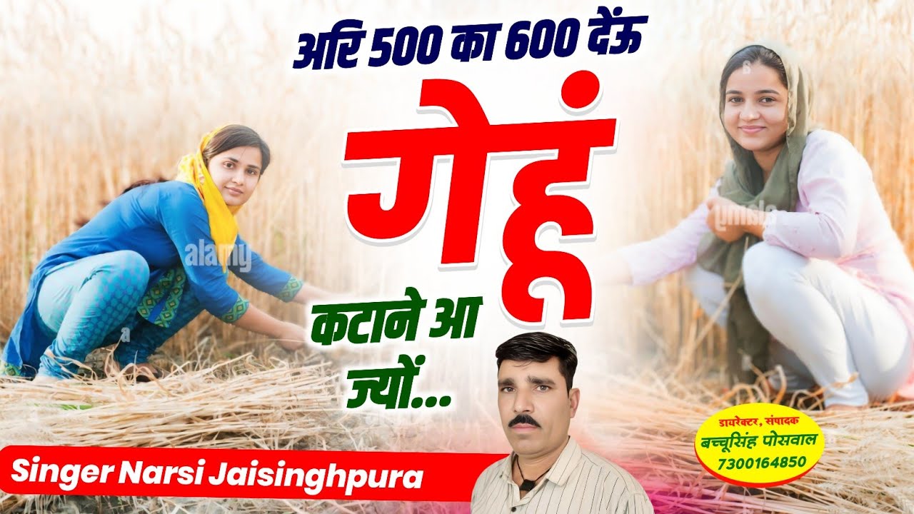 अरि 500 का 600 देऊं गेहूं कटाने आ ज्यौं सिंगर नरसी जयसिंहपुरा न्यू गेहूं कटाई सॉन्ग वायरल