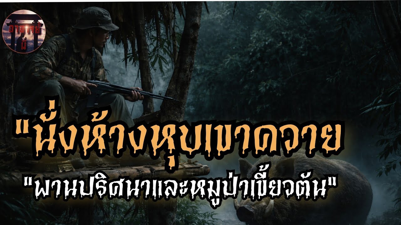 อาจารย์ผี| นั่งห้างหุบเขาควาย พานปริศนา หมูป่าเขี้ยวตัน#เล่าเรื่องผี #นิยายเสียง #movie 