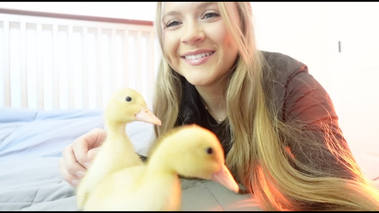 Проведи день со мной - Кэти и её утята 🐥