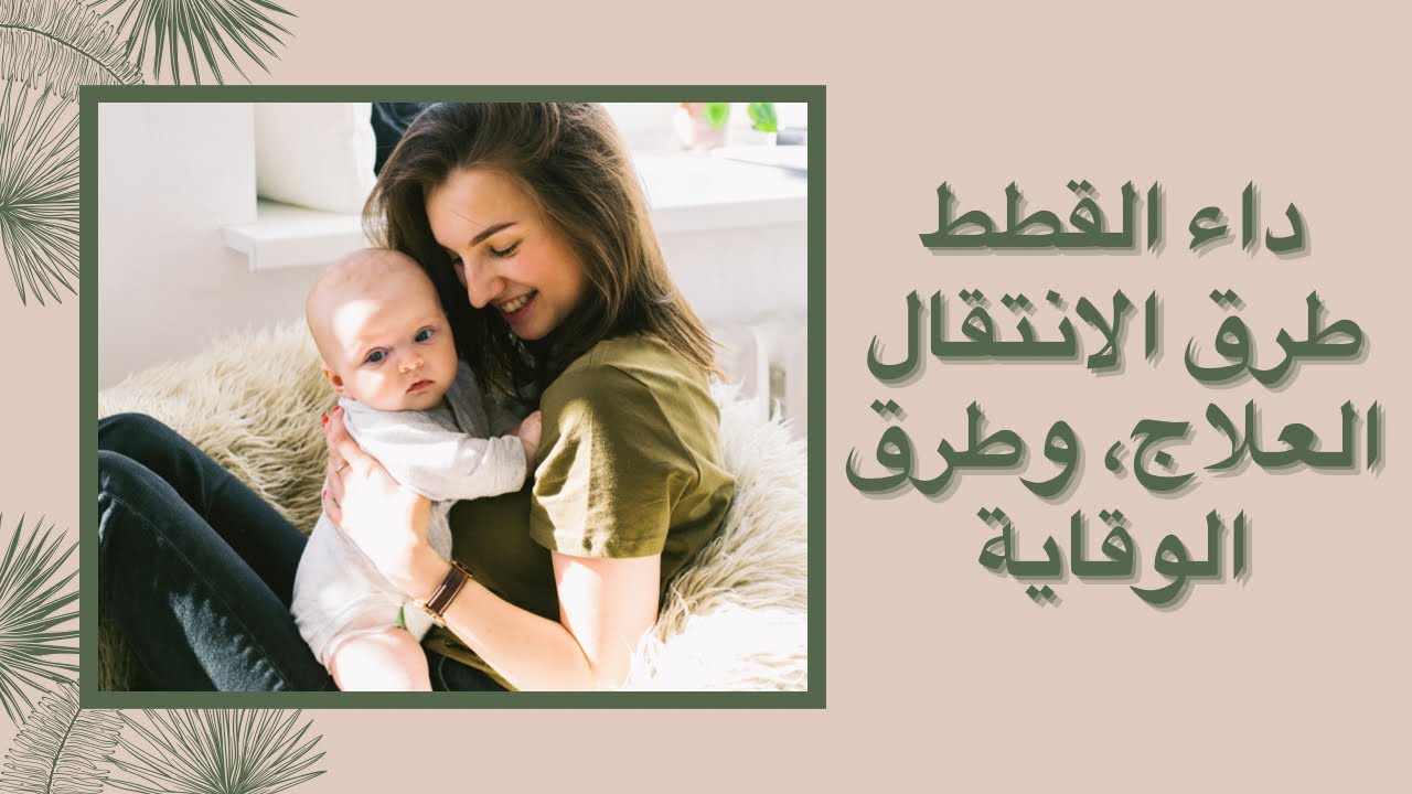 ٦_ماهو داء القطط وما علاقته بالاجهاضات المتكررة