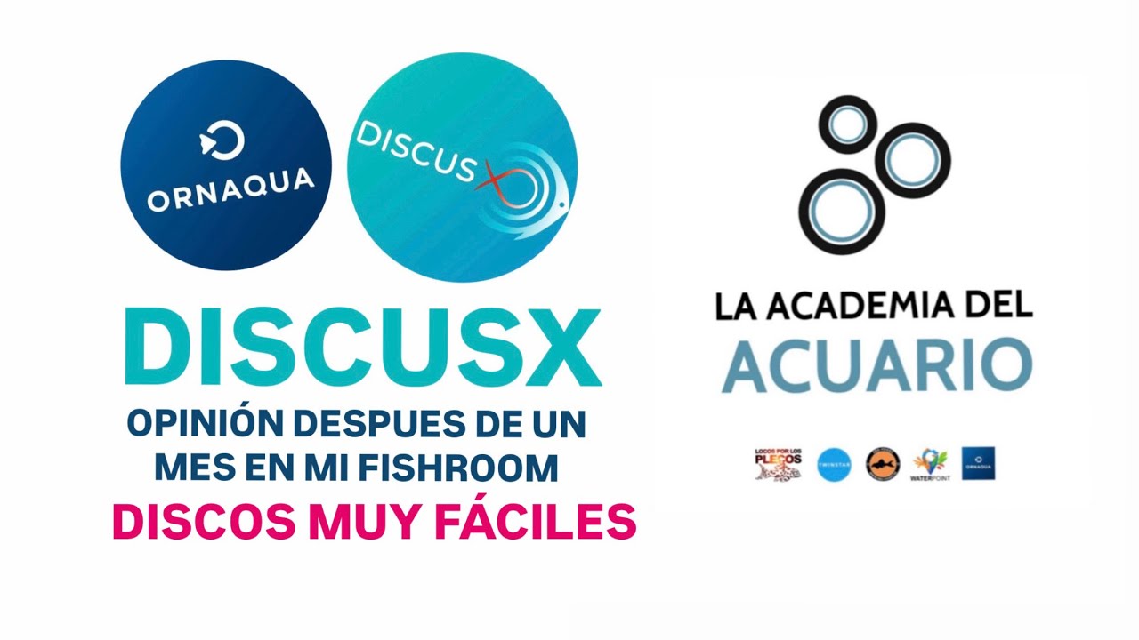 3: OPINIÓN DESPUES DE UN MES: DISCOS MUY FÁCILES!