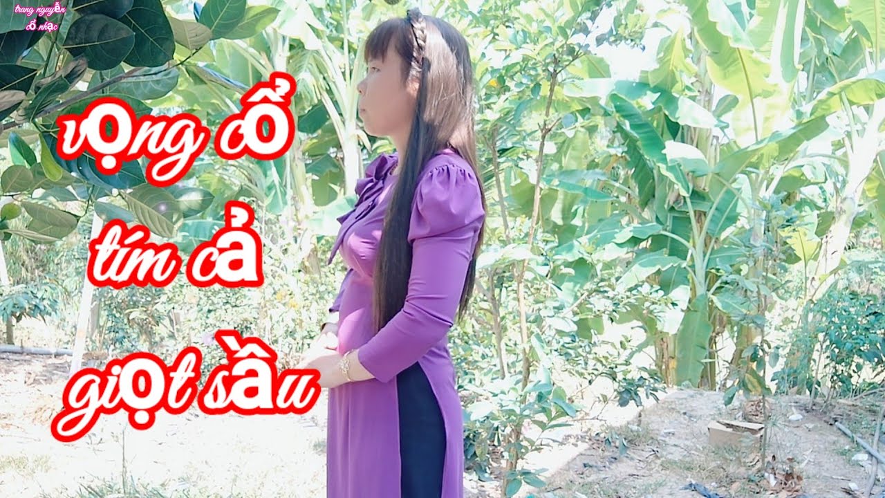 Vọng cổ tím cả giọt sầu/st; Nguyễn Hữu Nghĩa/ trang nguyễn trình bày