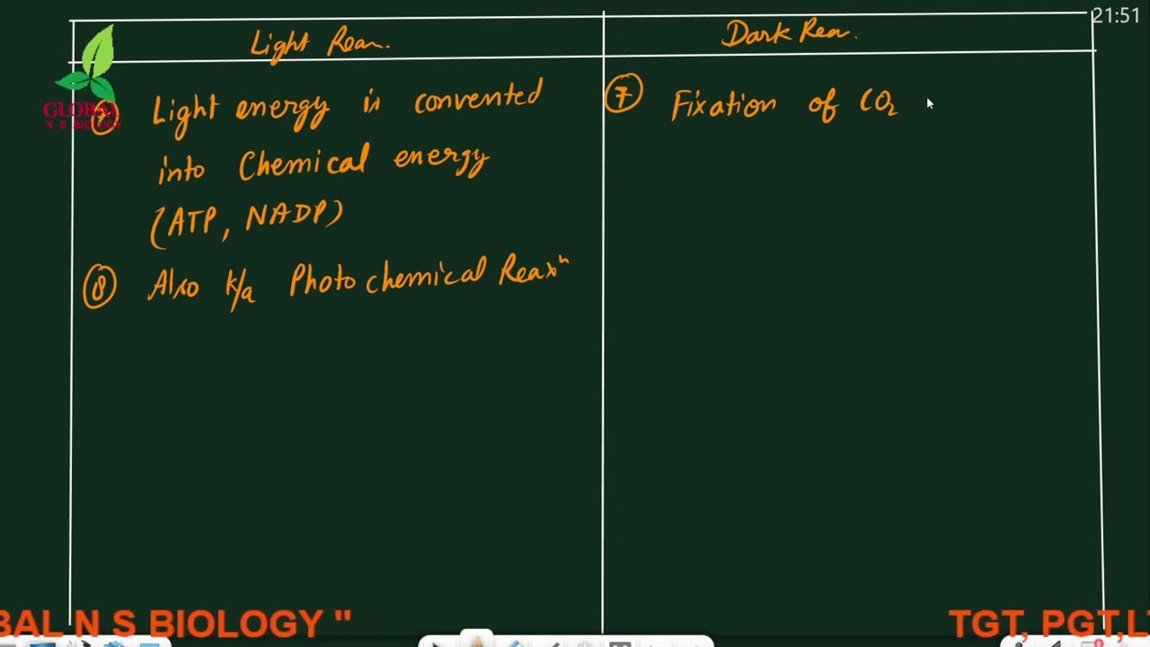 Light Reaction V/s Dark reaction