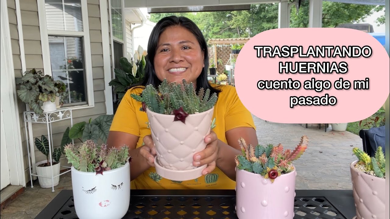 ASI  FLORECEN  MÁS LAS HUERNIAS Trasplantando les cuento algo de mi pasado