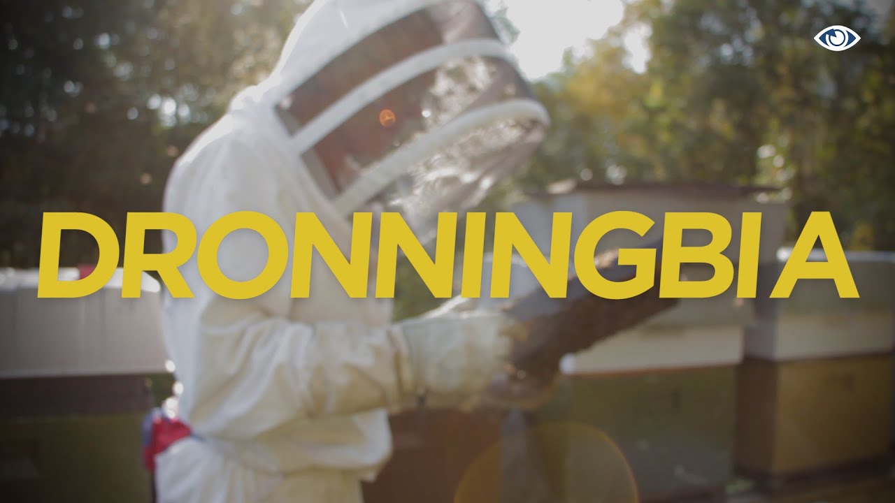 Minidok: Dronningbia
