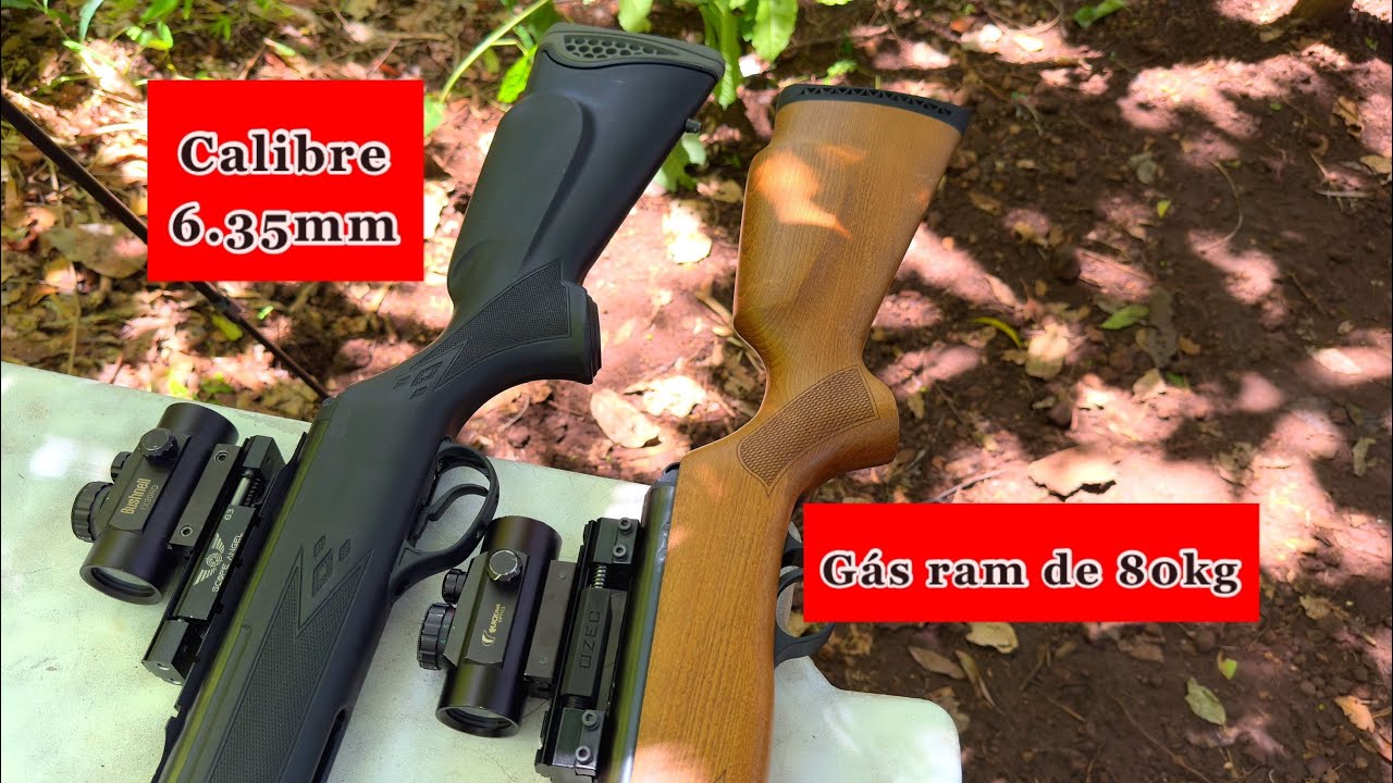 Briga das Magnum - Falcon 1600 contra HT 125 !
