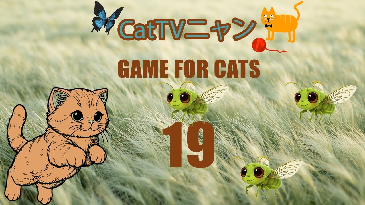 猫の本能全開！3時間の狩りタイム🎯 | CatTVニャン #19