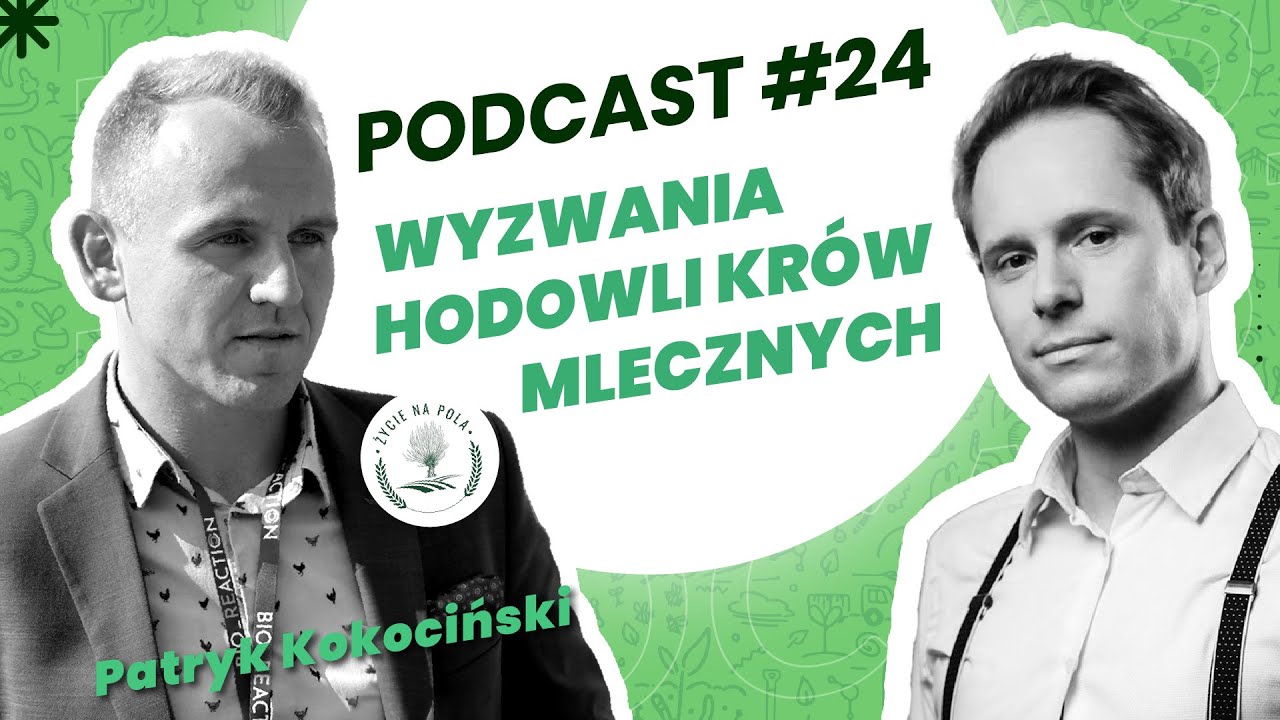 Wyzwania hodowli krów mlecznych -  Patryk Kokociński 
