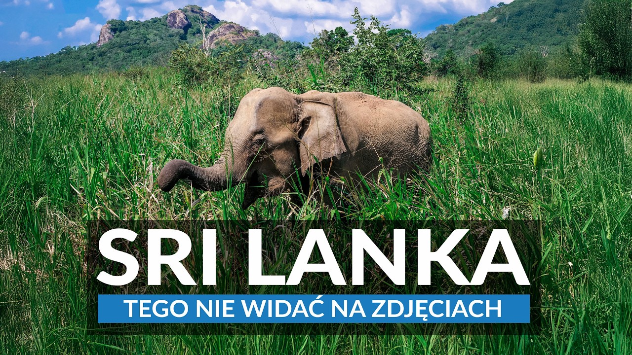 SRI LANKA on your own | Practical information and sightseeing plan: beaches, monuments and elepha...