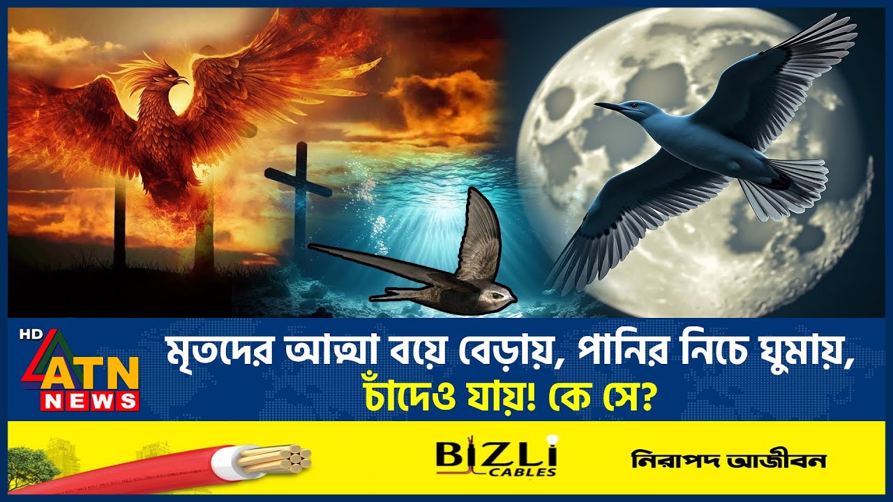 মৃ*ত*দের আত্মা বয়ে বেড়ায়, পানির নিচে ঘুমায়, চাঁদেও যায়! কে সে? | Ababil Bird | Islamic History 