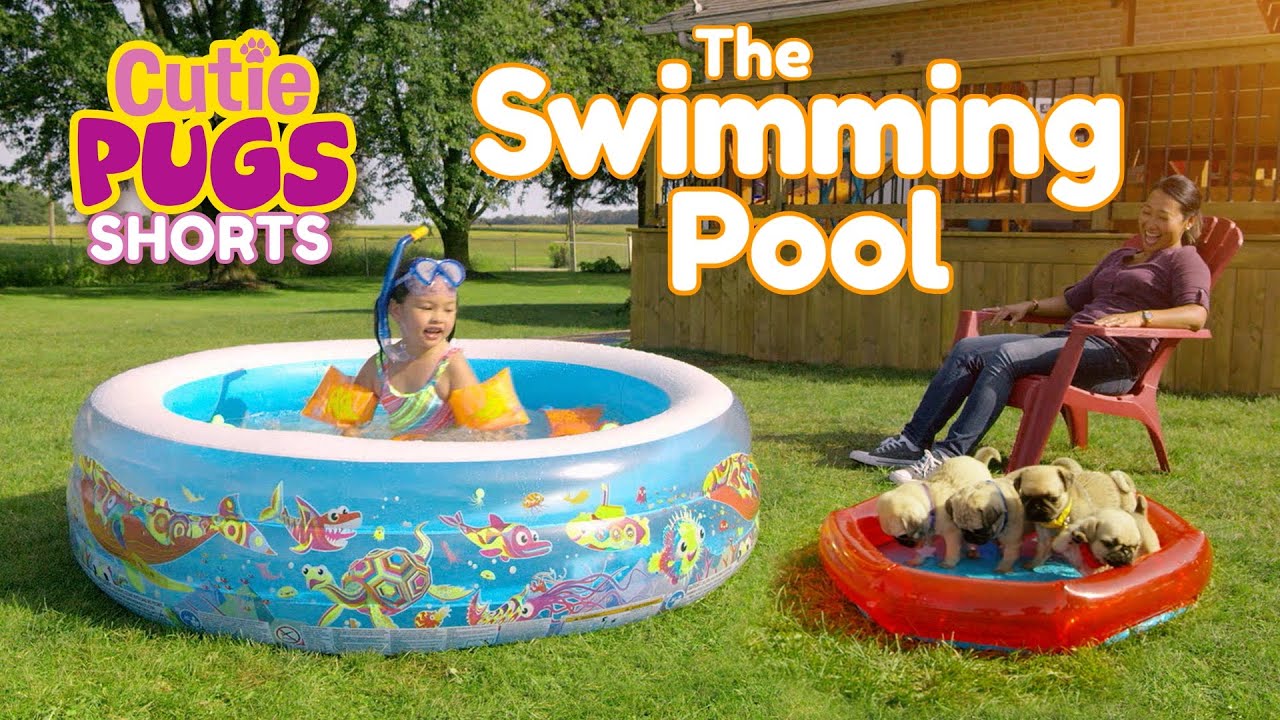 💦Puppy Pool Party!🏊 | Cutie Pugs🐶 | Animals for Kids🐾