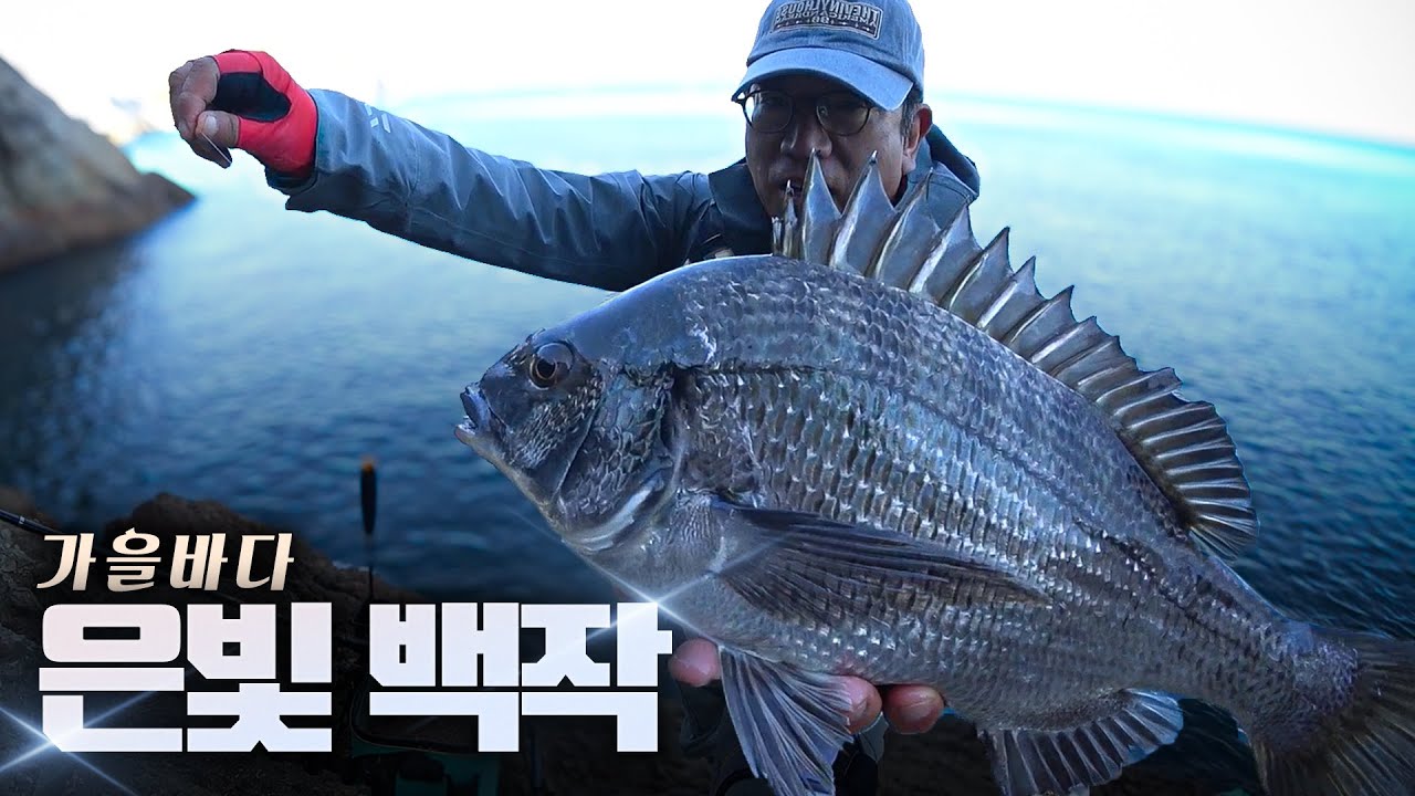 이 좋은 낚시터를 왜 여태 몰랐지? ... 환상의 섬 십이동파도에서 은빛 화려한 '바다의 백작'을 만나다!