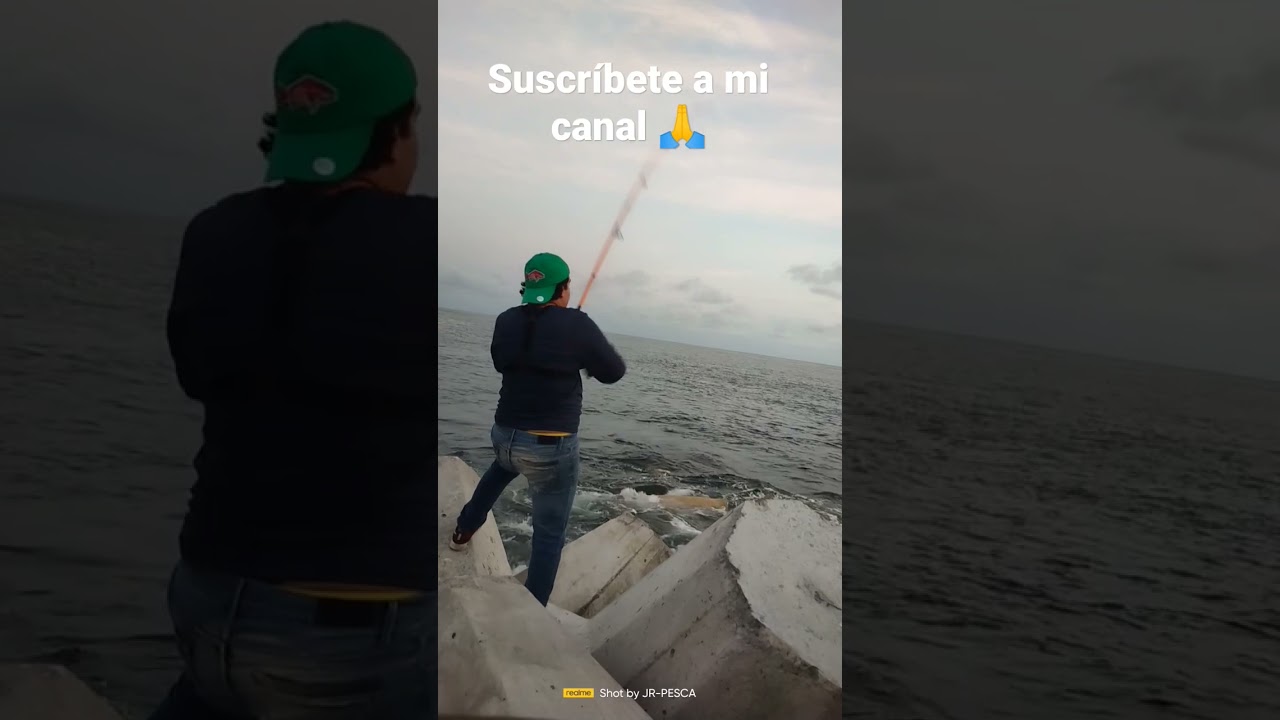 pesca de sierras en campos manzanillo 