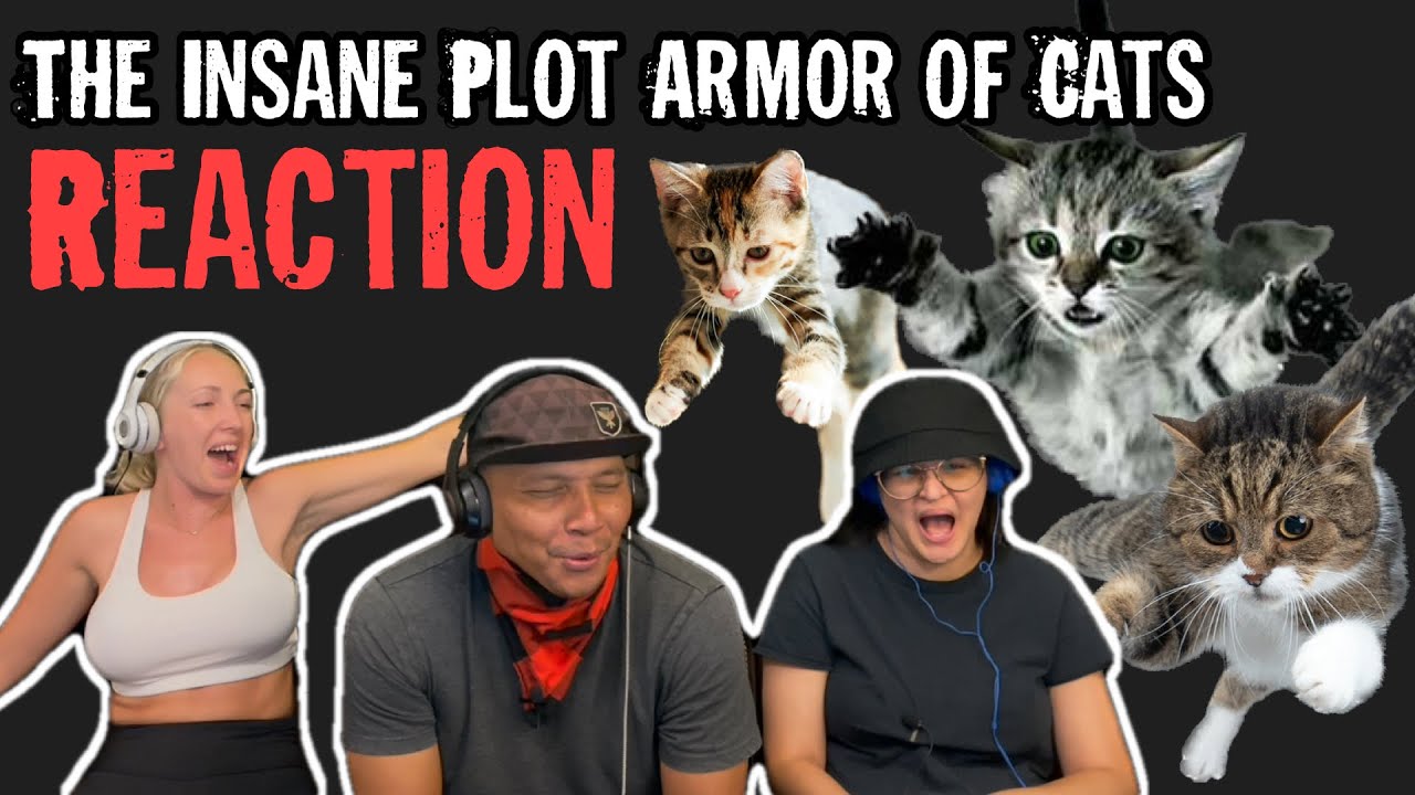 THE INSANE PLOT ARMOR OF CATS - Reaction!