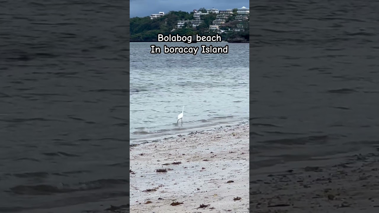Bolabog beach in boracay Island #shortvideo #short #shorts #trending #ytshorts