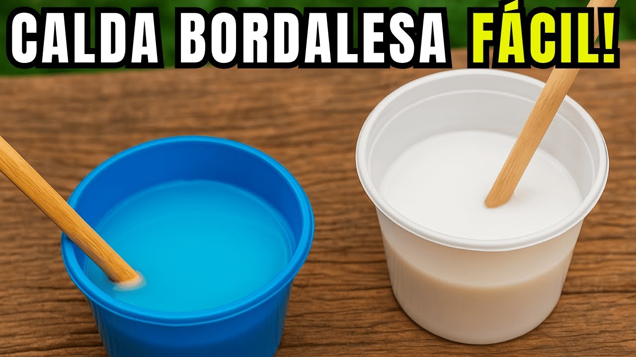 O Segredo da Calda Bordalesa | Aprenda a fazer e Proteja suas Plantas!