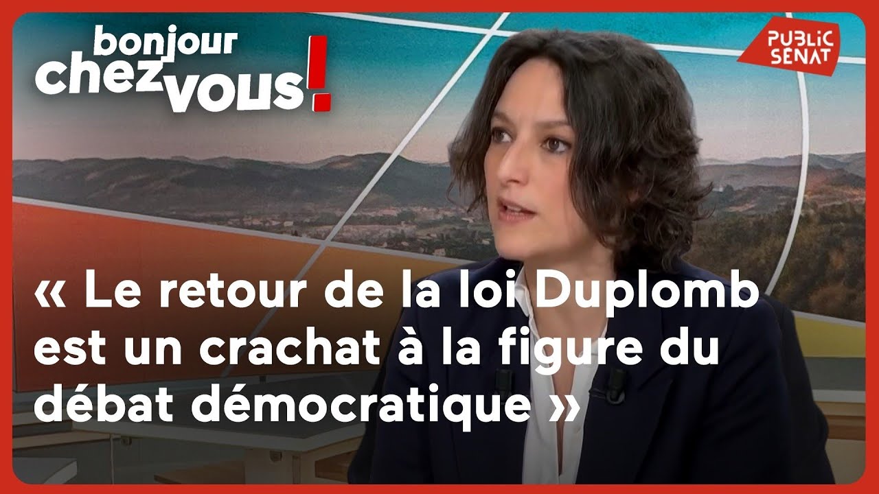 Mélanie Vogel : « Le retour de la loi Duplomb est un crachat à la figure du débat démocratique »