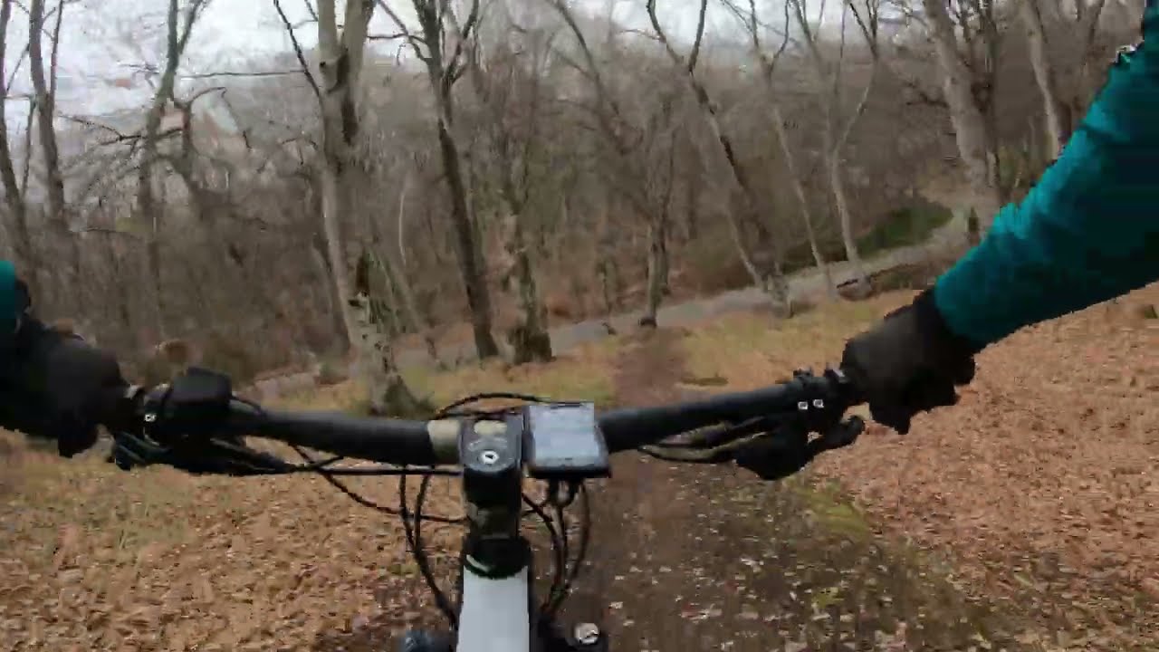 DH LINE 4K- Monte fogliano