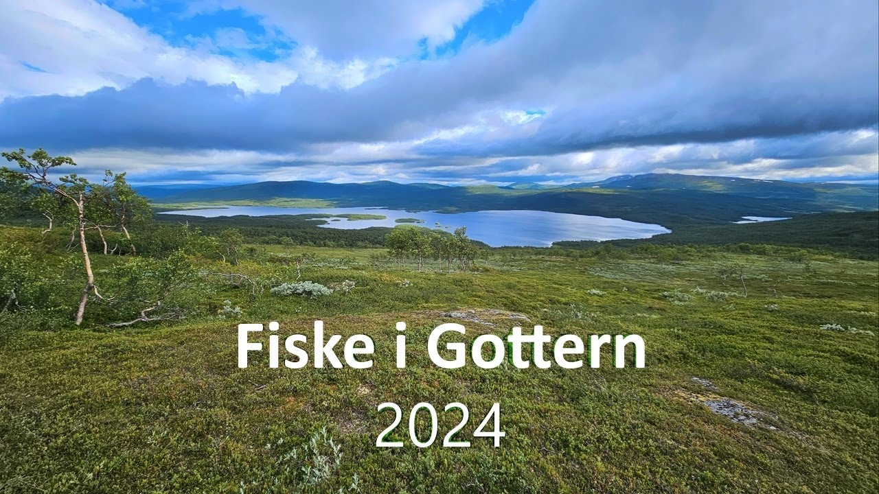 Fiske i Gottern (Kittelfjäll) 2024
