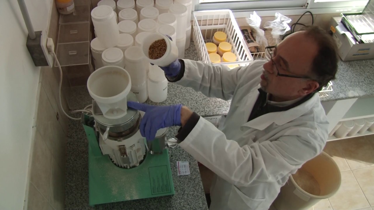 Laboratorio de Calidad de Cebada y Malta de INTA Bordenave