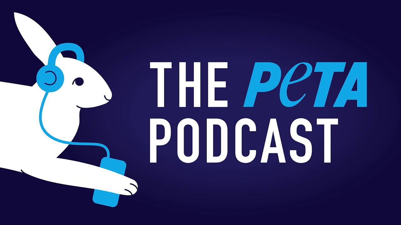 Ep. 110: Part Two--Former SeaWorld Trainer John Hargrove And The Case of The Missing Orca Semen