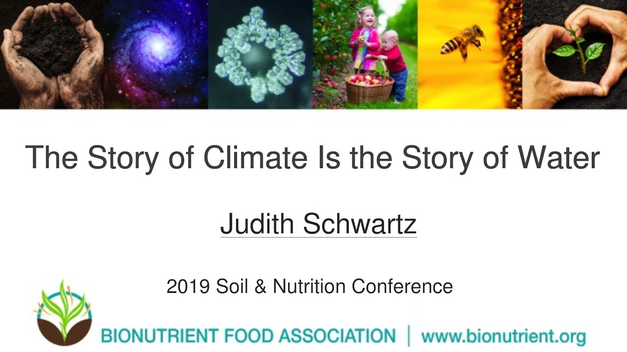 Judith Schwartz: The Story of Climate Is the Story of Water | 2019 Soil & Nutrition Conference