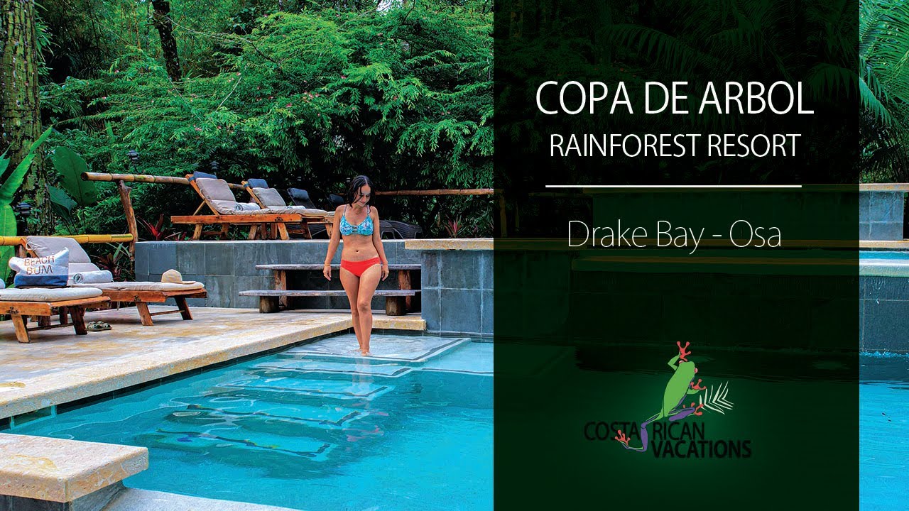 Copa del Arbol on the Osa Peninsula by FrogTV