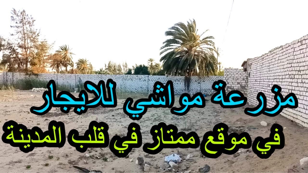 مزرعة مواشي او اغنام للايجار 5000م في قلب مدينة وادي النطرون طريق مصر اسكندرية الصحراوي