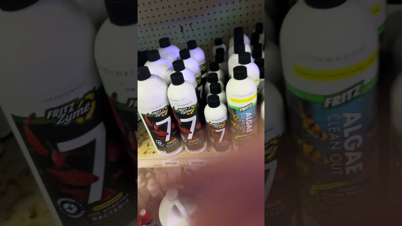 CK Fish World Mini Clip (uncut part 3)