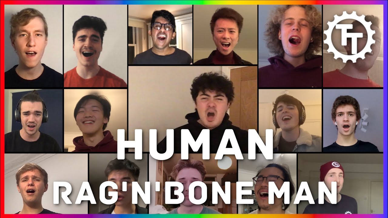 Human (Rag'n'Bone Man) - Virtual A Cappella Cover