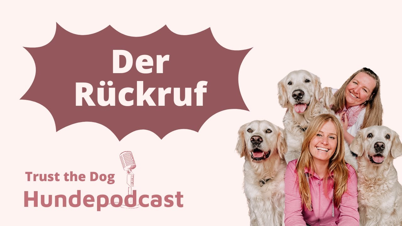 Rückruftraining ✅  Wie hört mein Hund auf den Rückruf?
