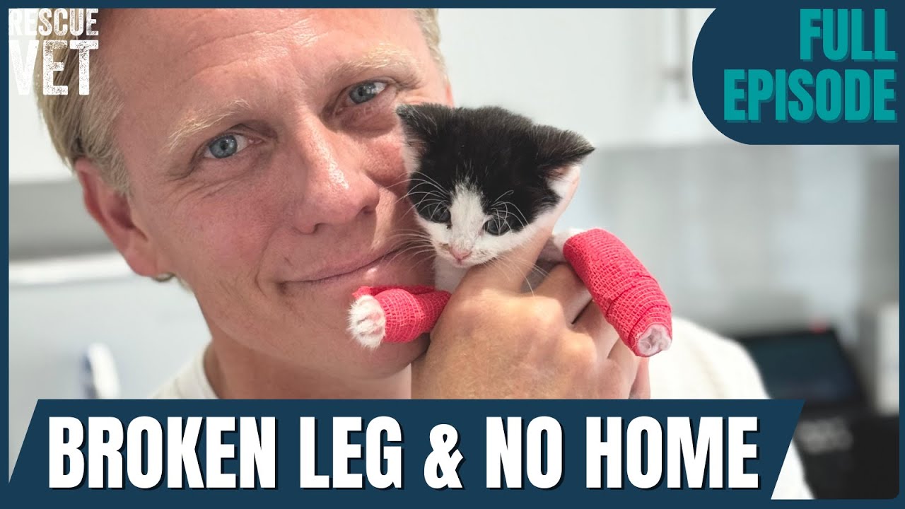Kitten Given Up After Breaking Her Leg At Only 5 Weeks Old | Rescue Vet with Dr Scott