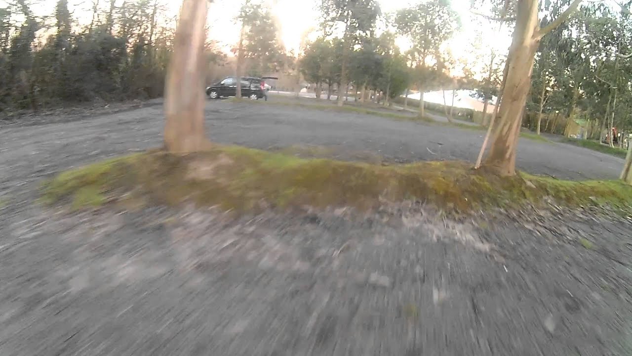 RUNCAM HD2.. FPV TREE  PROX