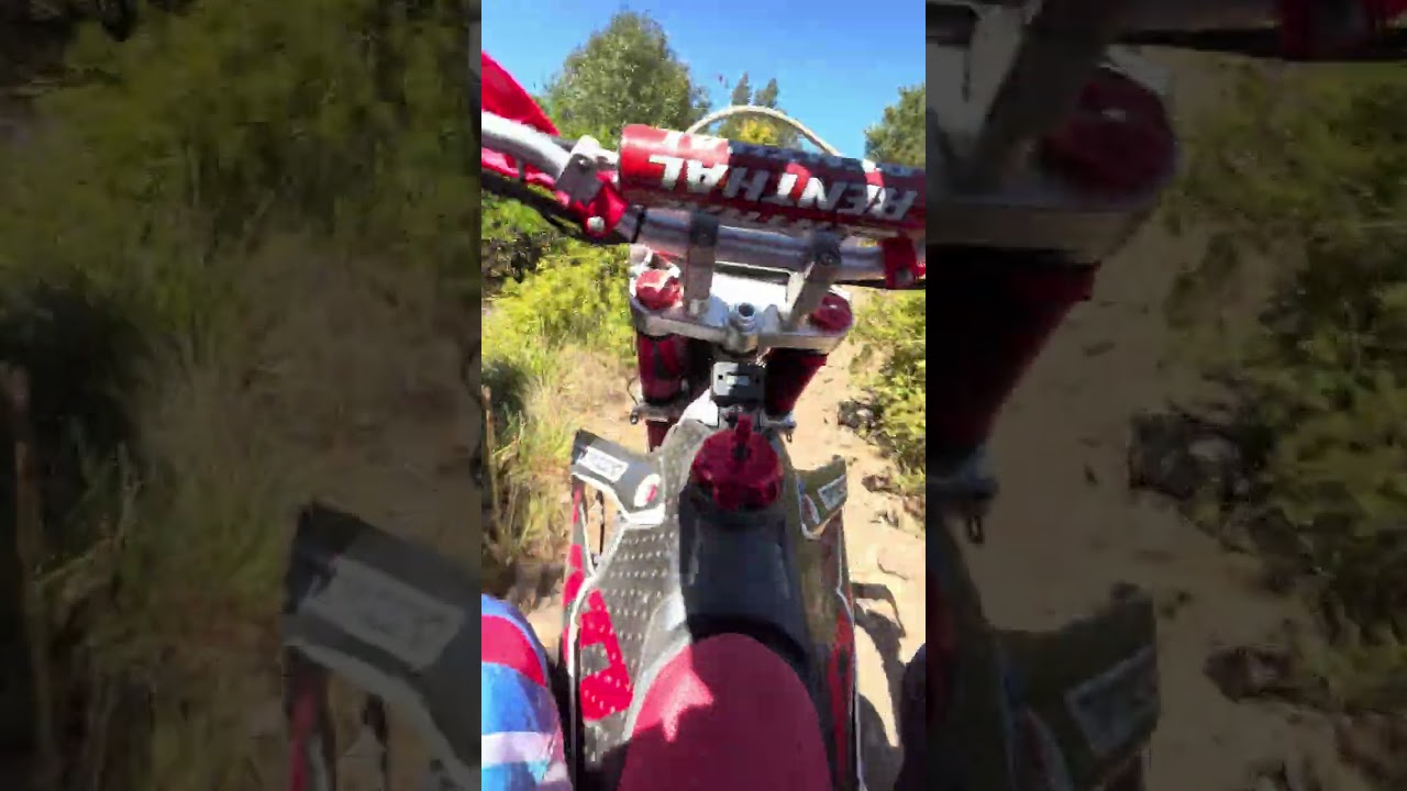 Vuelta con Rodri parte 1