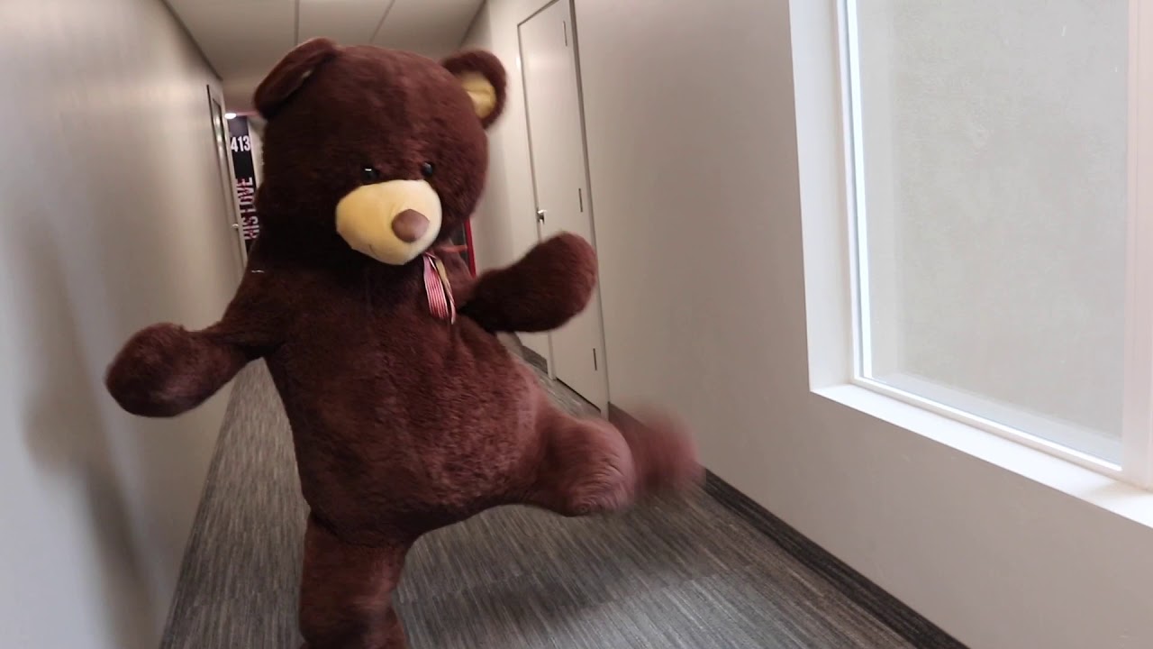 we got inside a teddy bear...